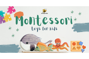 montessori toys, learning toys
