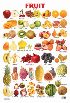 Dreamland-Fruits (All in One)