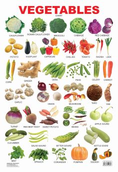 Dreamland-Vegetables