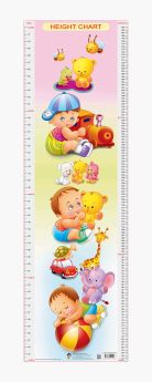 Dreamland-Height Chart - 5