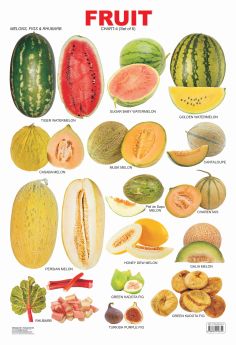 Dreamland-Fruit Chart - 4