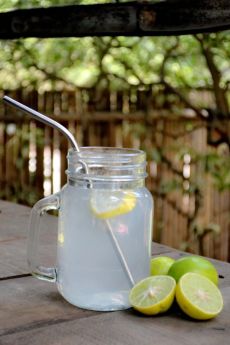 Almitra Sustainables - Stainless Steel straw (Bent) Pack of 2 with 1 Cleaner