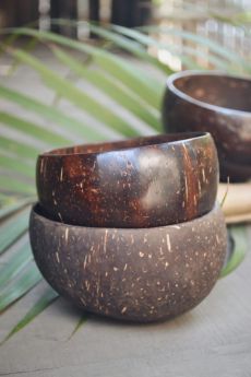 Almitra Sustainables - Coconut Bowl (Pack of 2)