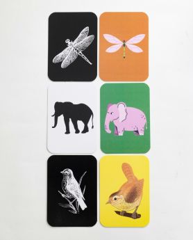 Early Buds-Combination of High Contrast + Coloured Contrast cards