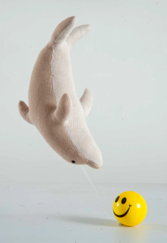 Mojopanda-Dolphin Soft Toy_110084-White-Cream