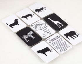 Early Buds-High Contrast Animals Flashcards