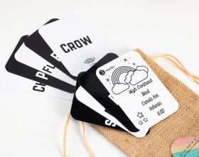 Early Buds-High Contrast Birds Flashcards
