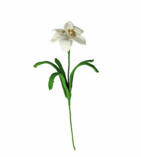 Happy Threads-white lily
