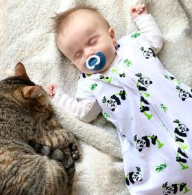 Tickle Tickle - Tickle Tickle, Nap a Lil Organic Cotton Sleeping Bag – 1.0 TOG-Little Po