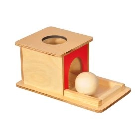 Thasvi Object Permanence Box