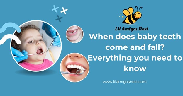 Baby Teeth Timeline: When They Emerge, Fall Out, and How to Care for Them