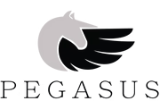 Pegasus