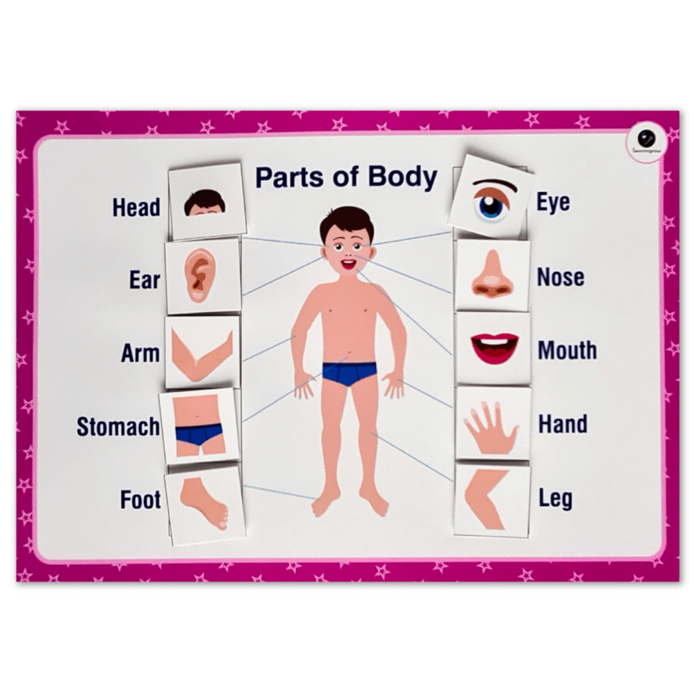 Comprehensive English Kit