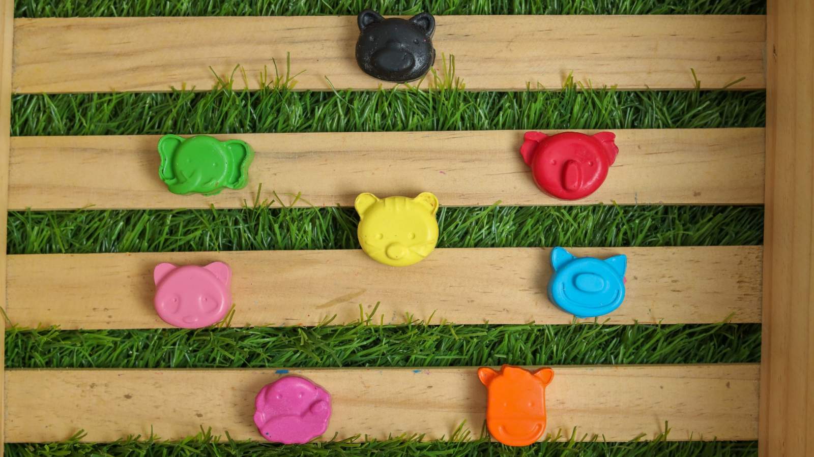 Mini Animals Heads Crayon Set of 8