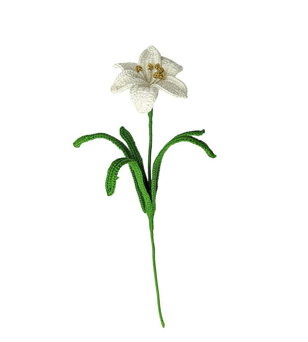white lily