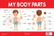 My Body Parts Chart - Early Learning Educational Chart For Kids: Perfect For Homeschooling, Kindergarten and Nursery Students (11.5 Inches X 17.5 Inches)