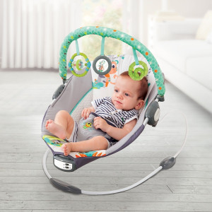 Music Vibrations Bouncer Bouncer Grey 3M to 12M