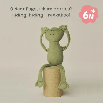 Pogo the Magnetic Frog
