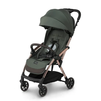 Influencer Stroller