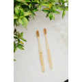 Kids Toothbrush pack of 2