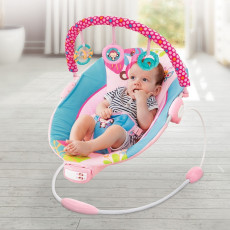 Music Vibrations Bouncer Pink+Blue 3M to 12M