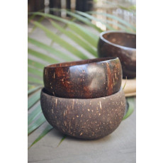 Coconut Bowl (Pack of 2)