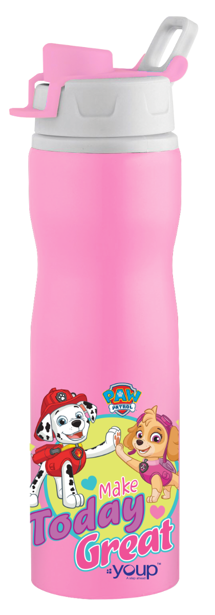 Stainless steel pink color Paw Patrol kids loop cord bottleEXPERT - 750 ml