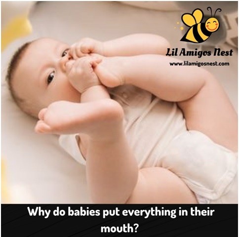 Why do babies put everything in their mouth?